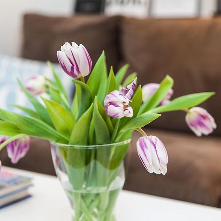 Skolo Apartment セルフォス エクステリア 写真