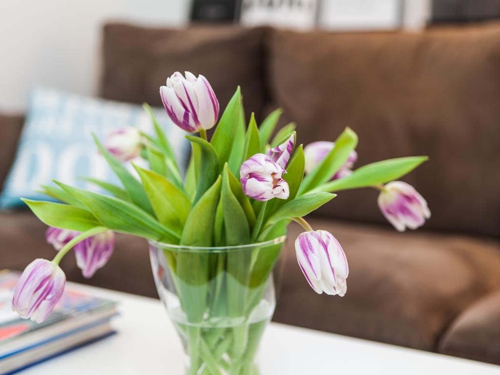 Skolo Apartment セルフォス エクステリア 写真